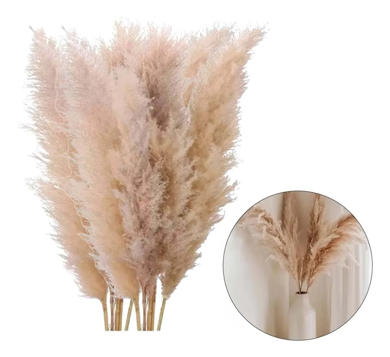 RAMAS PAMPAS GRASS 10 PZS 100 CM DECORACION - 1