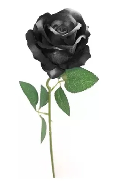 ROSAS ARTIFICIALES 5 UDS VARAS NEGRAS - 1