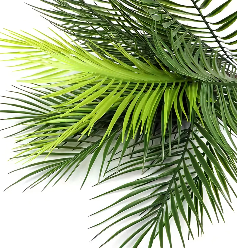 RAMA PALMA TROPICAL HOJAS DECORACION VERDE - 2