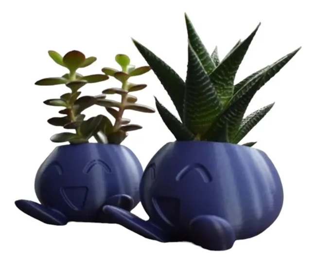 MACETA PARA SUCULENTAS GRANDE 15 CM - 3