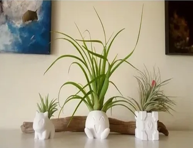 MACETA PARA SUCULENTAS GRANDE 15 CM - 7