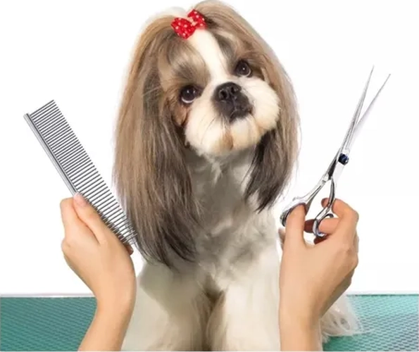 PACK 4 TIJERAS CORTAR PELO MASCOTAS - 5