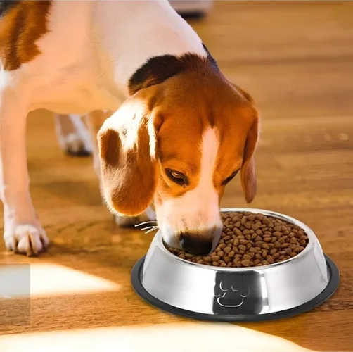 COMEDERO PERROS/GATOS 26CM PLATEADO - 7