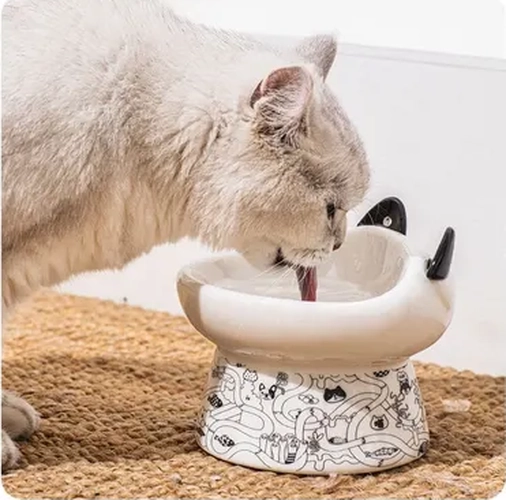 PLATO CERAMICA OREJAS CUCHARA MASCOTAS - 8