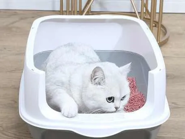 ARENERO CERRADO PARA GATOS XL - PALA - 5