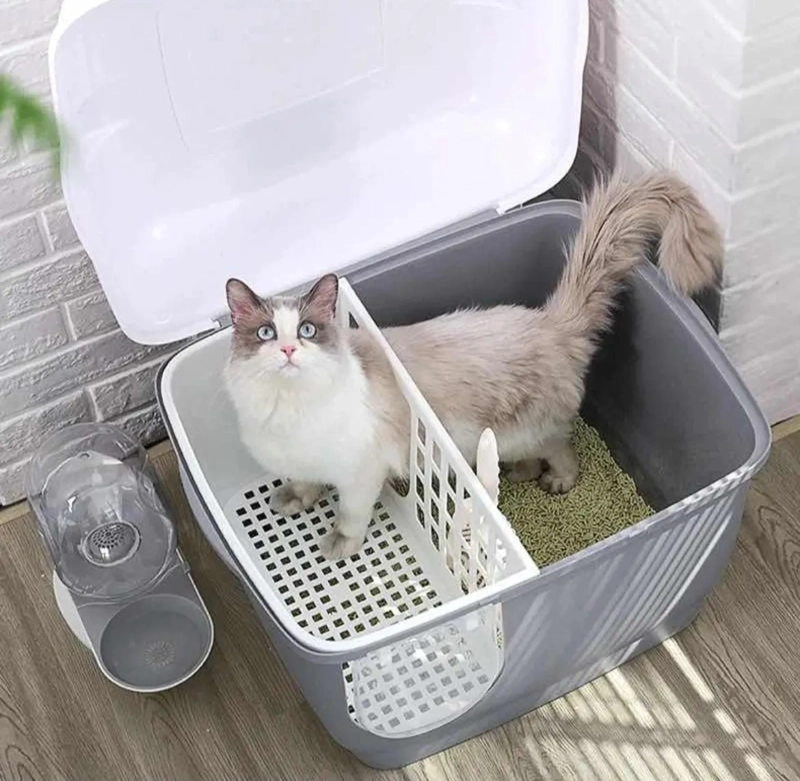ARENERO MODERNO DE ENTRENAMIENTO PARA GATOS - BAÑO SANITARIO - 1