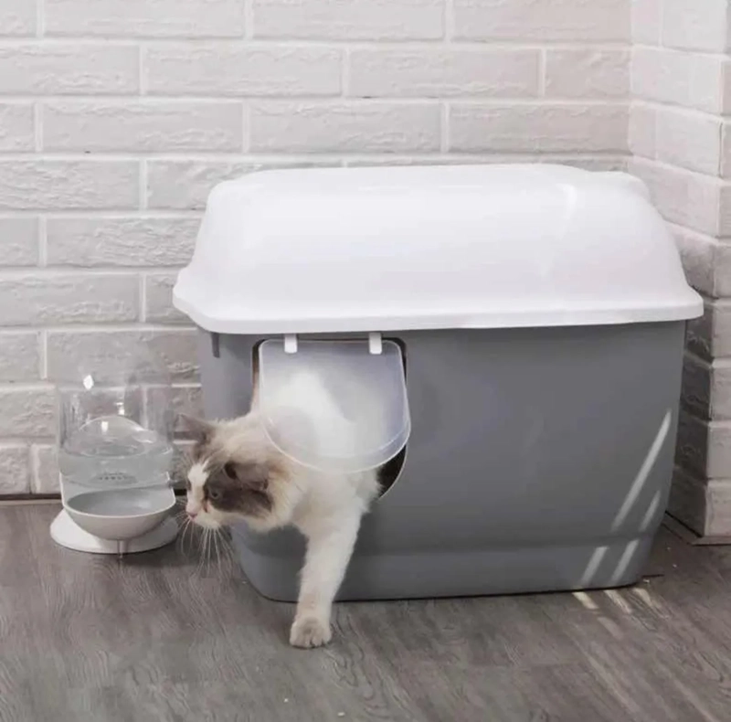 ARENERO MODERNO DE ENTRENAMIENTO PARA GATOS - BAÑO SANITARIO - 4