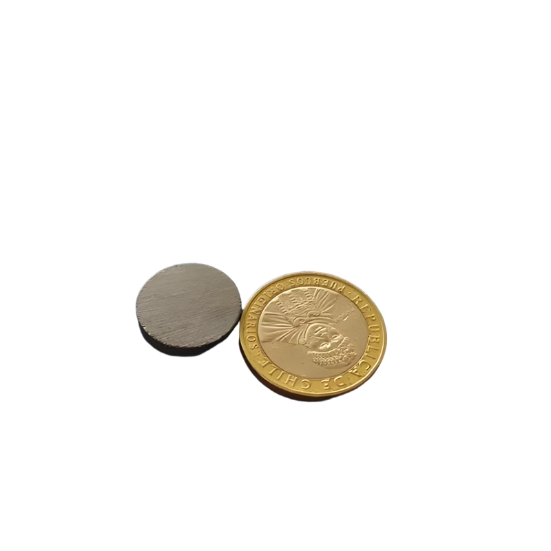 200 IMANES REDONDOS 20X3 MM - 3