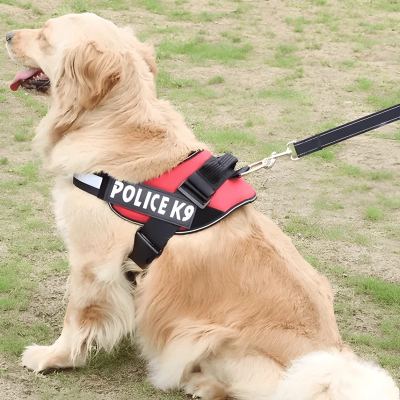 ARNE S PECHERA K9 ACOLCHADO REFORZADO PERROS GRANDES XL PASEO - 2