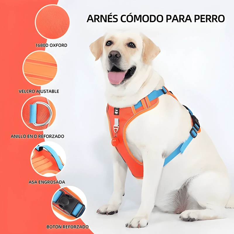 ARNE S PECHERA REFLECTANTE PARA PERROS CON CORREA - 2