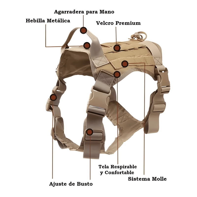 ARNE S TACTICO PERRO ARNE S TACTICO ARNE S PERRO GRANDE MOLLE - 3