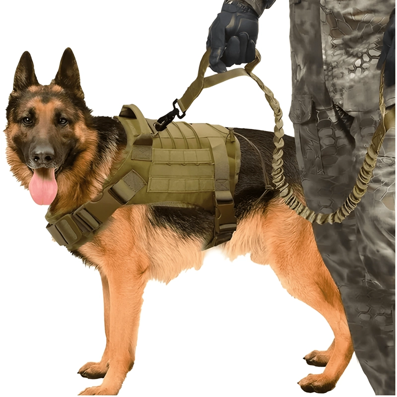 ARNE S TACTICO PERRO ARNE S TACTICO ARNE S PERRO GRANDE MOLLE - 4