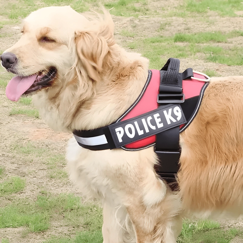 ARNE S POLICE K9 REFORZADO PERROS MEDIANOS GRANDES M L XL #2 - 1