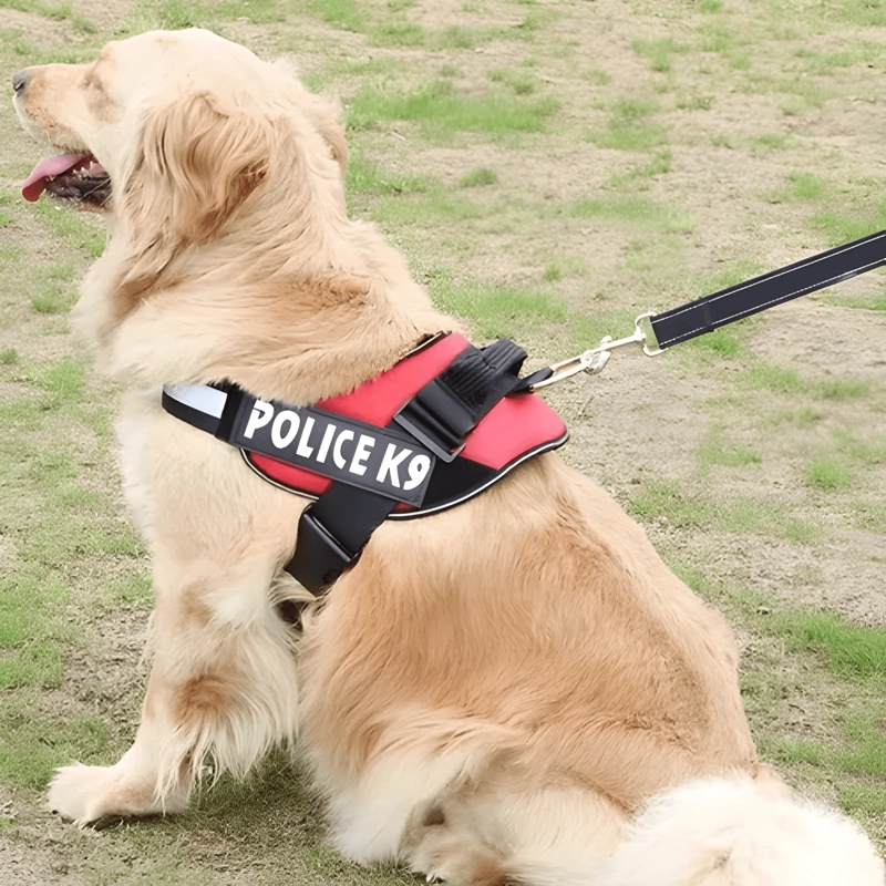 ARNE S POLICE K9 REFORZADO PERROS MEDIANOS GRANDES M L XL #2 - 2