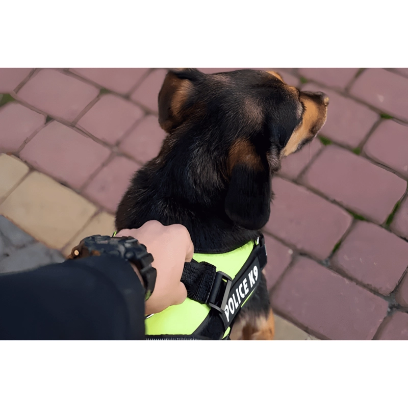 ARNE S POLICE K9 REFORZADO PERROS MEDIANOS GRANDES M L XL #2 - 3