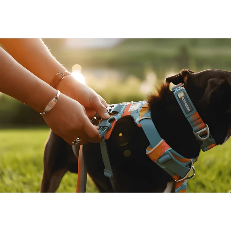ARNE S PARA PERRO ANTI TIRON RUFFWEAR FRONT RANGE XS S M L XL - 4