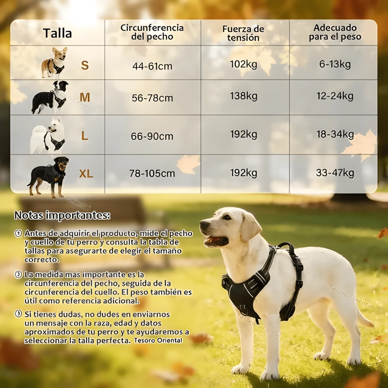 PECHERA PARA PERRO ARNE S AJUSTABLE REFLECTANTES #4 - 1