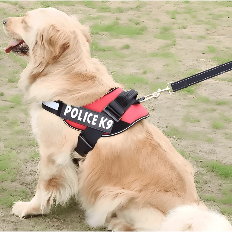 ARNE S PECHERA K9 ACOLCHADO REFORZADO PERROS PEQUEÑOS ROSADO - 1