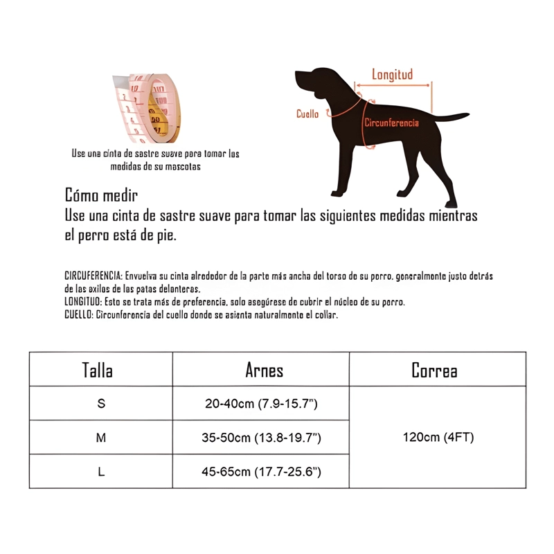 ARNE S PECHERA ENTERA + CORREA PARA MASCOTAS GATOS PERROS - 2