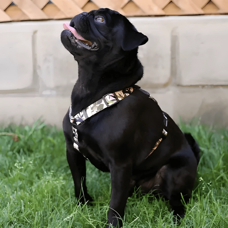 BRNX ARNE S TIPO H PARA PERRO DISEÑO FOREST PINK TALLA M - 1