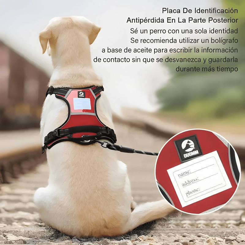 ARNE S PECHERA CON LED Y CORREA PARA PERRO XL AJUSTABLE #5 - 1