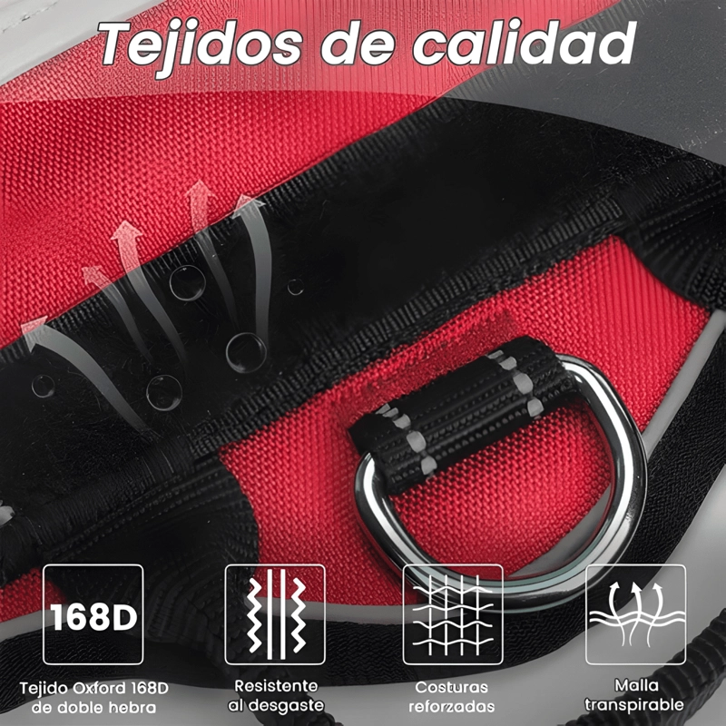 ARNE S PECHERA CON LED Y CORREA PARA PERRO XL AJUSTABLE #5 - 2