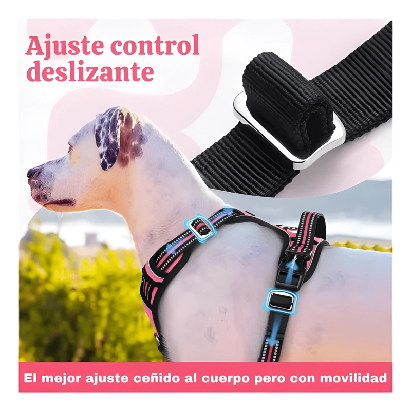 SET ARNE S CORREA COLLAR PORTA GPS - 2