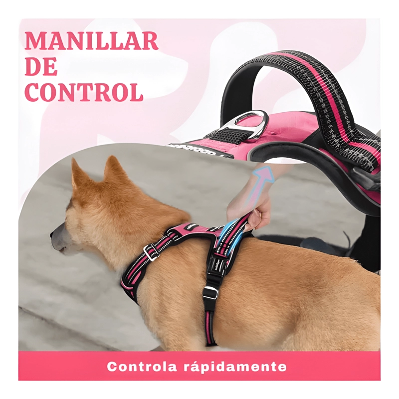 SET ARNE S CORREA COLLAR PORTA GPS - 3