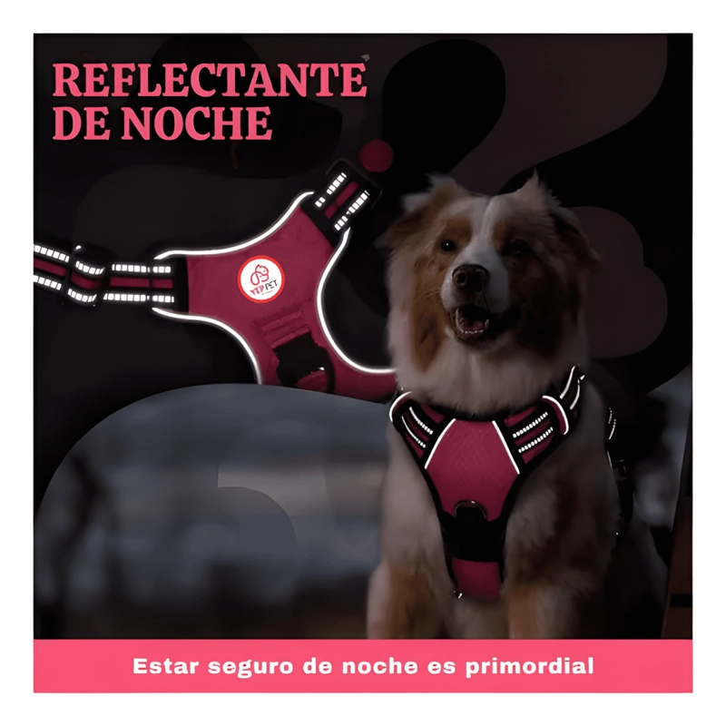 SET ARNE S CORREA COLLAR PORTA GPS - 4