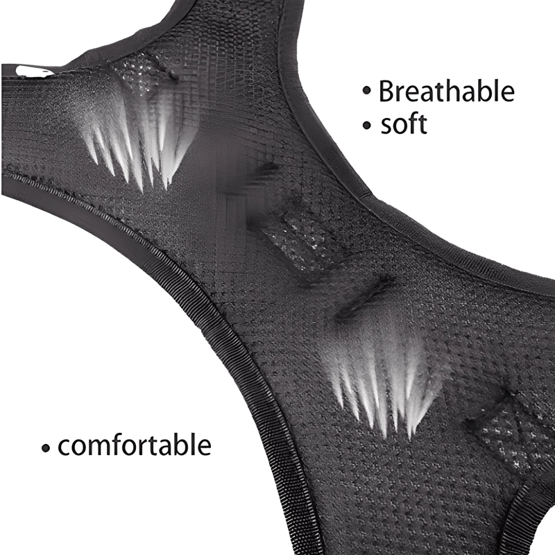 ARNE S TALLA S, AJUSTABLE PARA PERROS MASCOTAS PASEO - 4