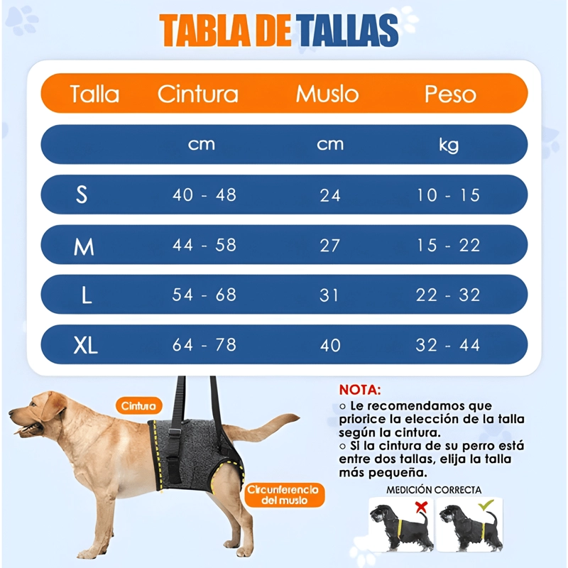ARNE S SOPORTE PARA PERROS PATAS TRASERAS ARNE S DE ELEVACION - 1