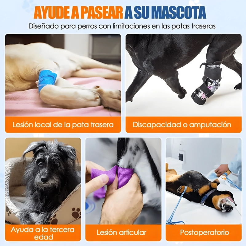 ARNE S SOPORTE PARA PERROS PATAS TRASERAS ARNE S DE ELEVACION - 4