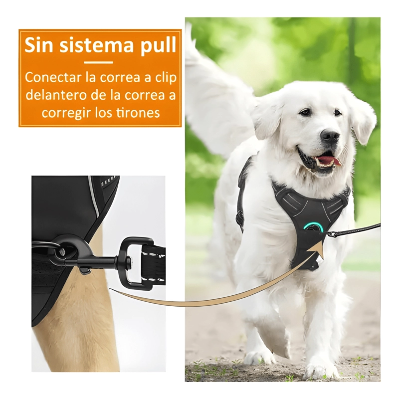 NORPLAT PECHERA PERRO ARNE S ANTI TIRONES REFLECTANTE - 3