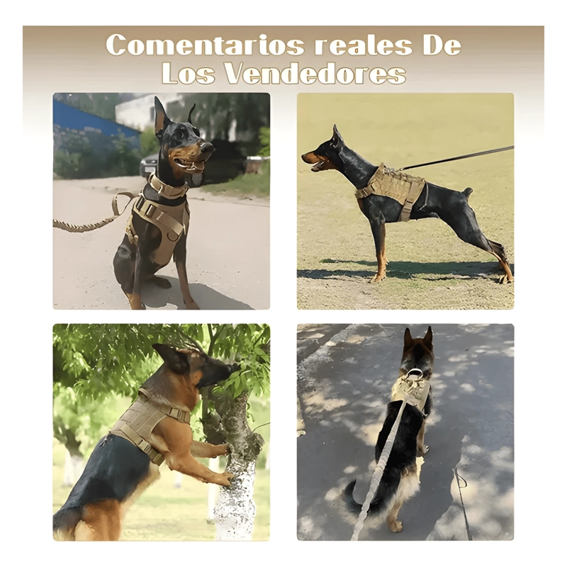 ARNE S TACTICO CON FORMA DE CORAZA PARA PERRO GRANDE - 2