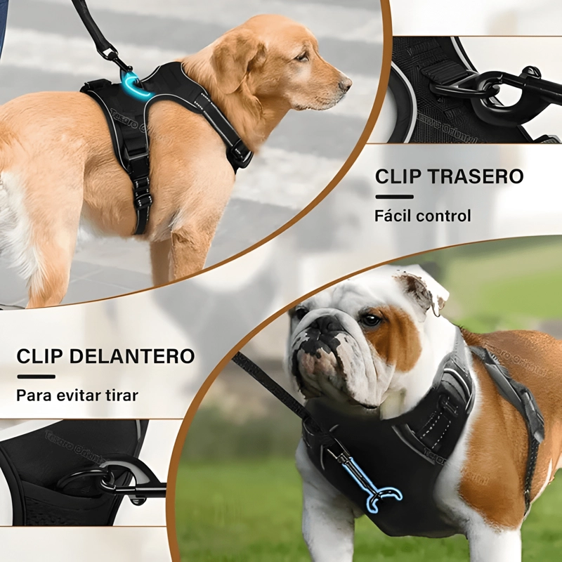 PECHERA PARA PERRO ARNE S AJUSTABLE REFLECTANTES #5 - 4