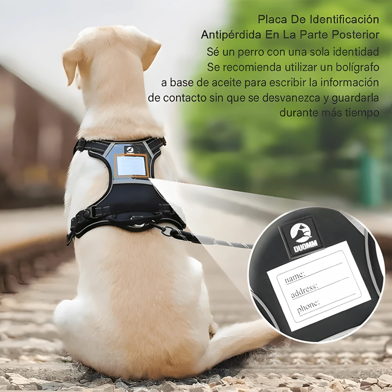 ARNE S PARA PERRO PECHERA CON LUZ LED Y CORREA DE 1.5M - 1