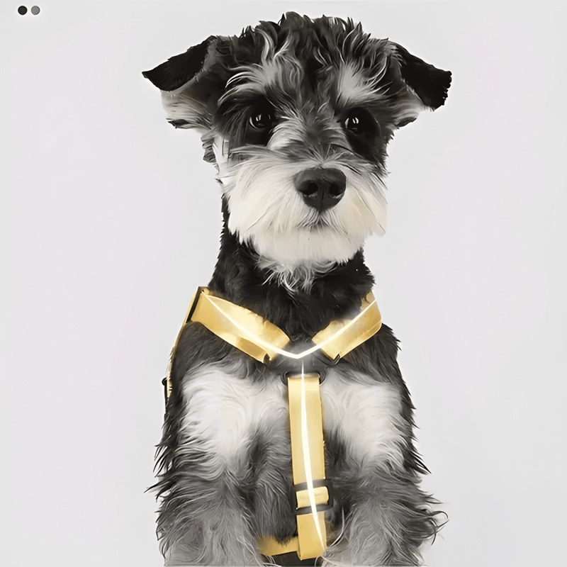 ARNE S REFLECANTES AJUSTABLE SEGURIDAD ACOLCHADO PERRO M/L/XL - 3