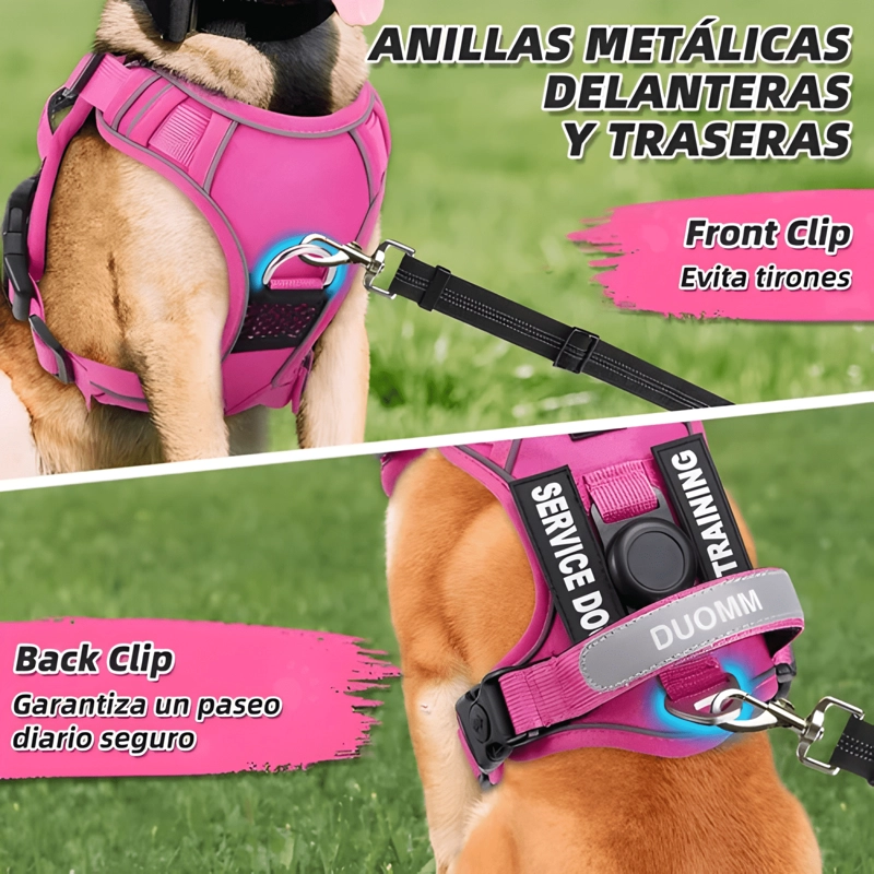 ARNE S DE PERROS GRANDE MEDIANO PEQUEÑO CON PORTA AIRTAG - 2