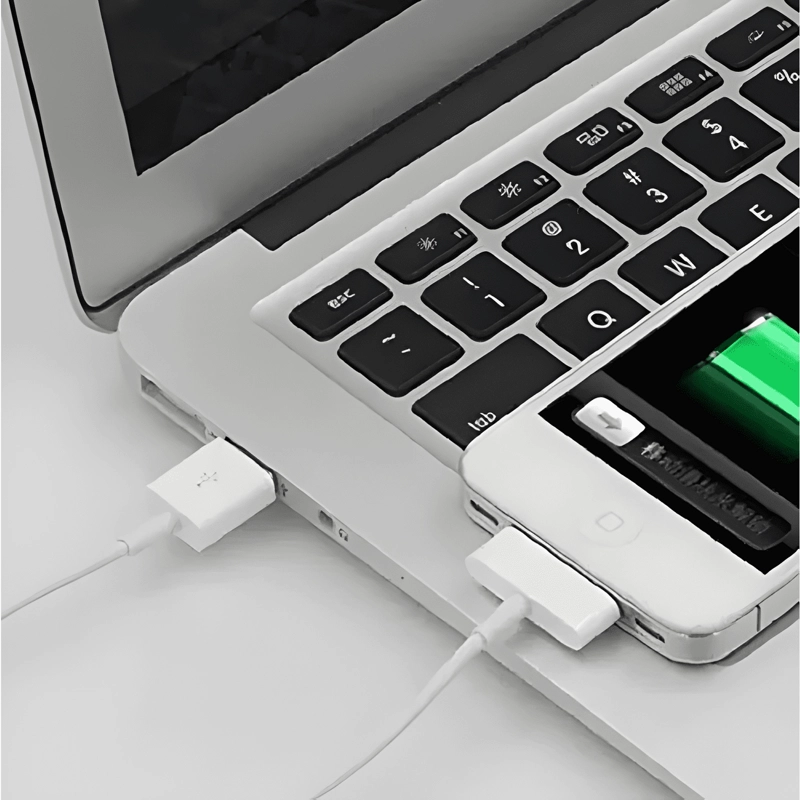 CABLE COMPATIBLE CON IPHONE 3G 3GS IPOD IPHONE 4 4S IPAD 2 3 - 2
