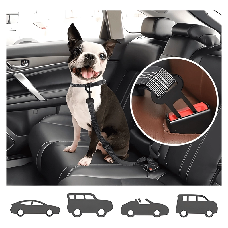 CINTURON DE SEGURIDAD PARA MASCOTAS EN AUTO ARNE S PERRO AUTO - 1
