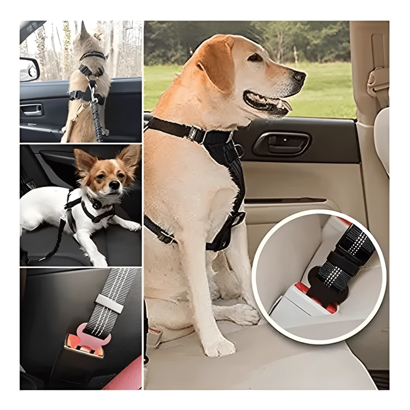 CINTURON DE SEGURIDAD PARA MASCOTAS EN AUTO ARNE S PERRO AUTO - 2