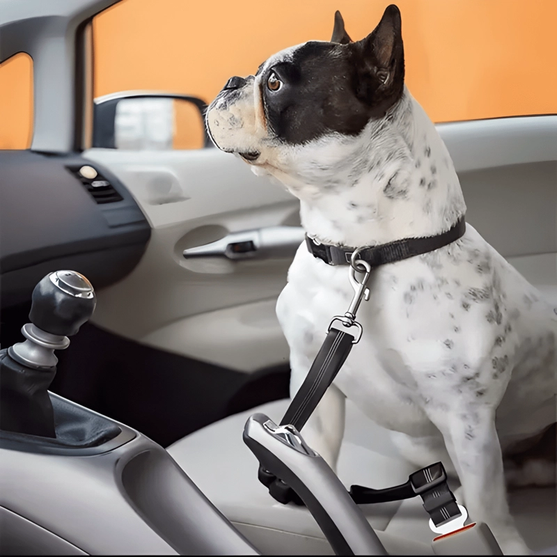 CINTURON DE SEGURIDAD AJUSTABLE PARA MASCOTAS EN AUTO #2 - 1