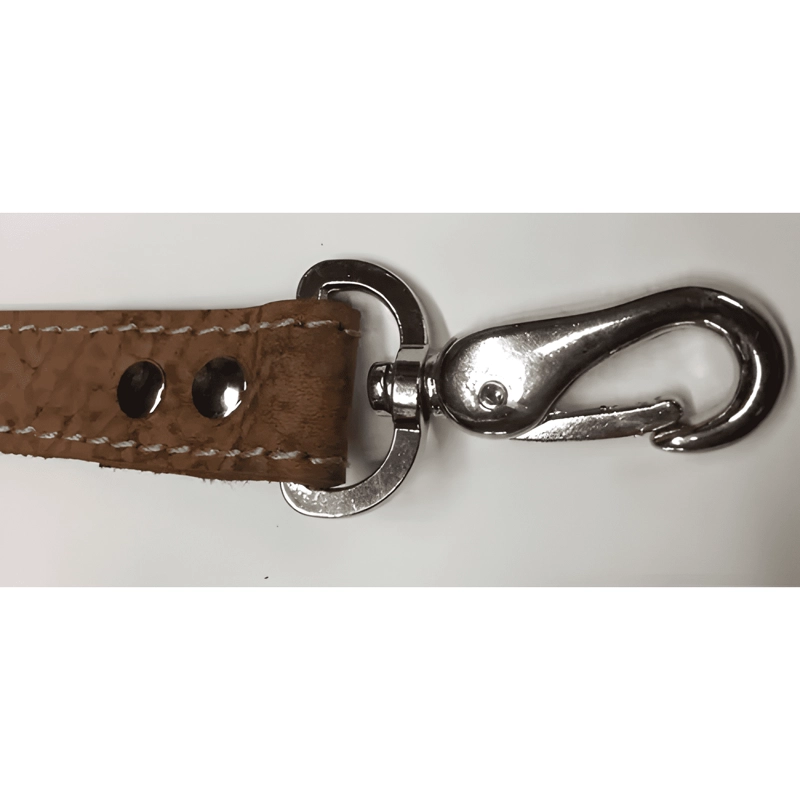 CORREA PARA PERRO CUERO ENTREGA INMEDIATA - 2