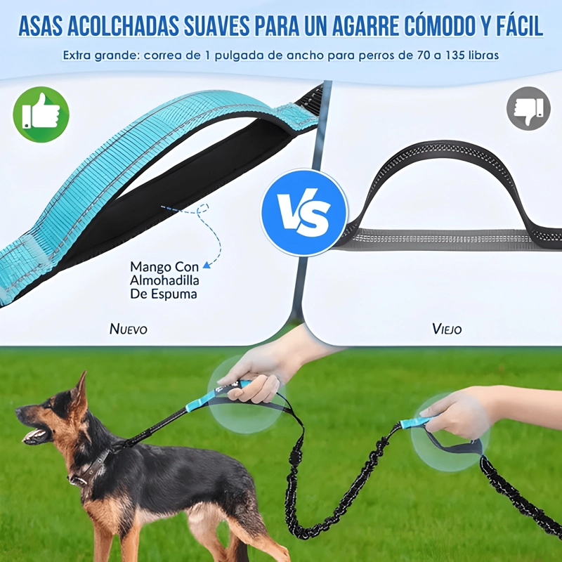 CORREA MANOS LIBRES PERRO CON EXTRAIBLE RIÑONERA CREMALLERA - 3