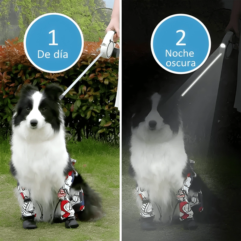 CORREA RETRACTIL PARA PERRO 5M HASTA 50KG CON LUCESLED - 3