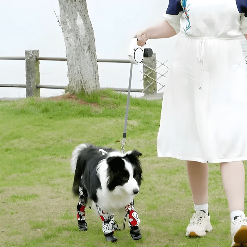 CORREA RETRACTIL PARA PERRO 5M HASTA 50KG CON LUCESLED - 4