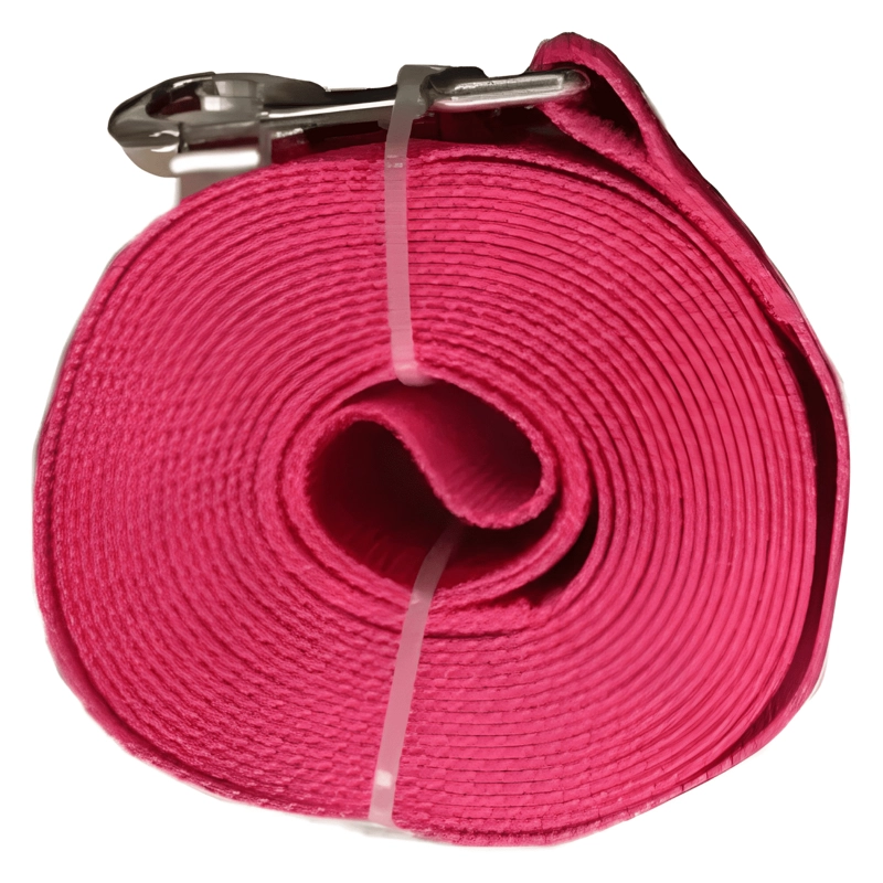 CORREA PLANA LARGA RESISTENTE PARA PERROS 4,5METROS X 3,8CM - 2