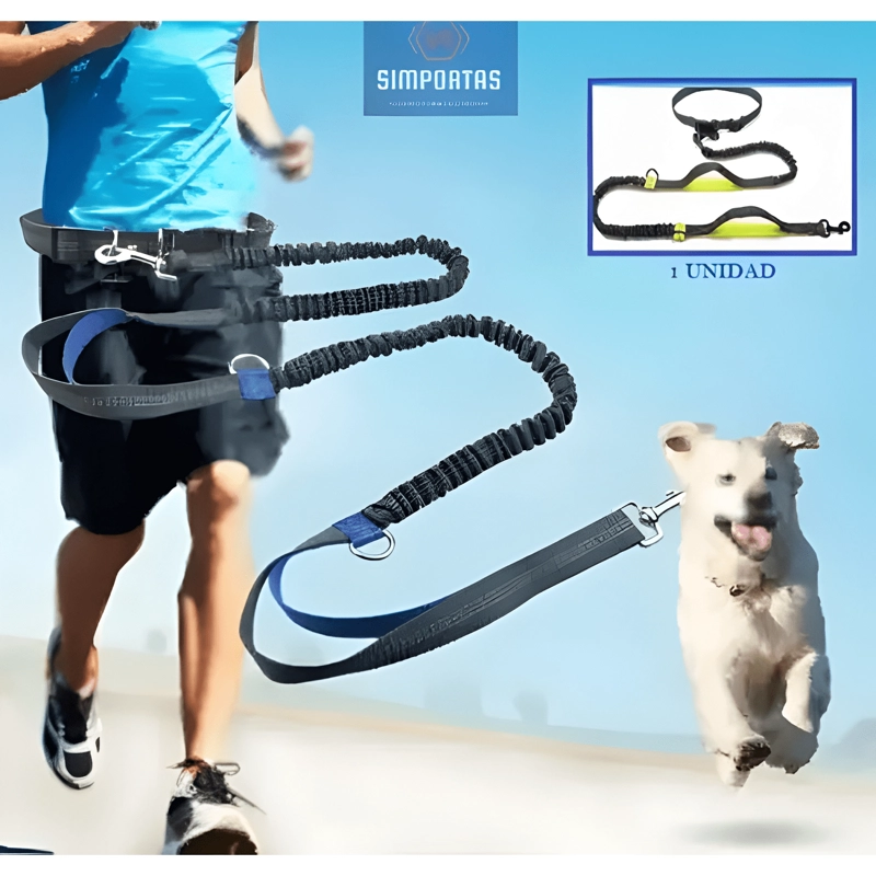 CINTURON CORREA RESISTENTE CORRER CON TU PERRO DOBLE GANCHO - 1