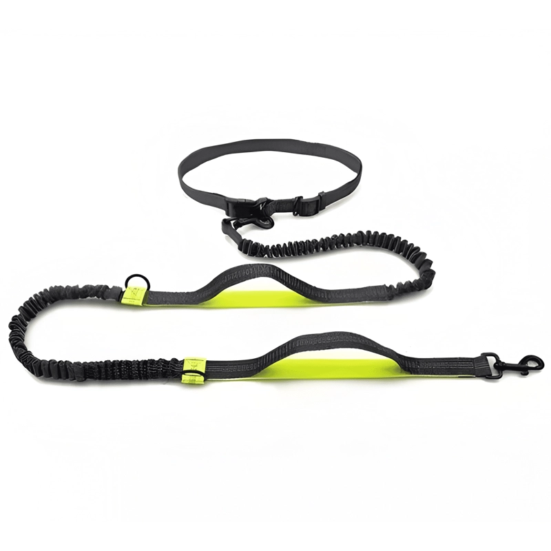 CINTURON CORREA RESISTENTE CORRER CON TU PERRO DOBLE GANCHO - 2