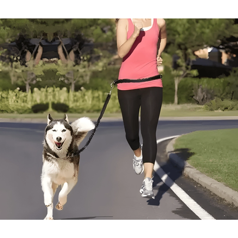 CINTURON CORREA RESISTENTE CORRER CON TU PERRO DOBLE GANCHO - 3